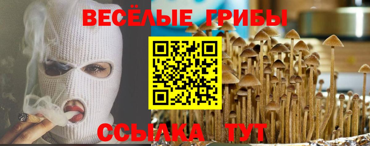 Псилоцибиновые грибы мухоморы Донской